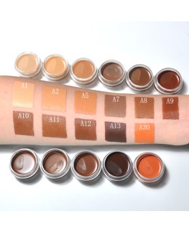 Under Eye Concealer for Dark Circles Color Corrector Pro Concealer Full Coverage Concealer de oieras Long-lasting Cover up Makeup Waterproof Cream Concealer