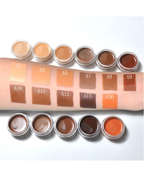 Under Eye Concealer for Dark Circles Color Corrector Pro Concealer Full Coverage Concealer de oieras Long-lasting Cover up Makeup Waterproof Cream Concealer