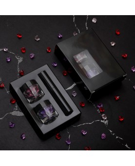 2 Colors Glitter Lip Kit, Diamond Metllic High Pigmented Powder for Lips Cosmetics, Glitter Lips Makeup,with Lip Primer and Brush, Long Wear-Set