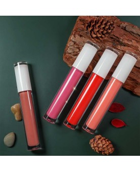 Round Tube White Cap, Small Quantity Private Label Lip Gloss, Moisture Lip Stain