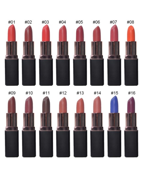 16 Colors Velvet Matte Lipstick