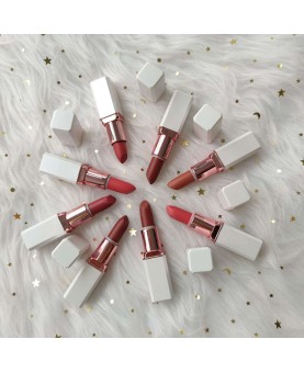 Private Label Luxury Matte Lipstick